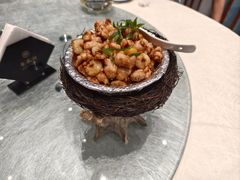 -丁老爷子苏香圆