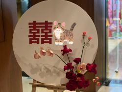 -Sugar苏格婚礼策划工作室