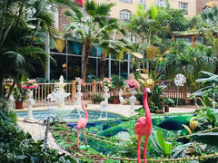 -杭州第一世界大酒店·云曼温泉