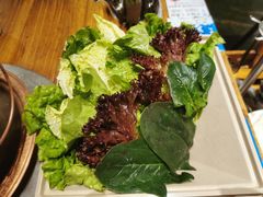 -额尔敦草原涮羊肉·烧烤(冻青树总店)