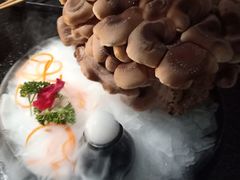 活体菌菇-九鼎轩火锅大排挡