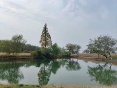 -良渚古城遗址公园