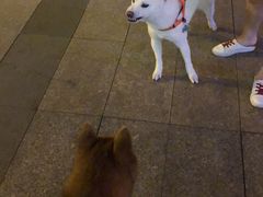 -万达广场(无锡滨湖店)