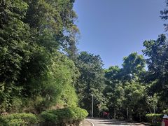 -火炉山森林公园
