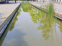 -廊坊文化艺术中心