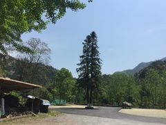 -途中饭店(开化店)