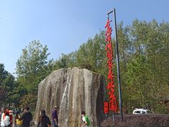 -合肥滨湖国家森林公园