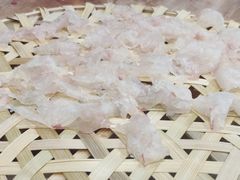 -官塘鱻鱻鱼生