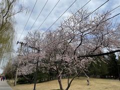 -元大都城垣遗址公园