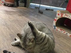 -小时光咖啡馆(开森度假森林店)