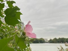 -南翔镇银翔湖公园