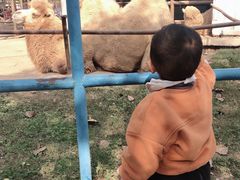 -祥源·阜阳生态乐园