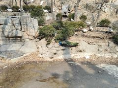 -大连老虎滩海洋公园