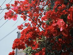 -吴祥记潮州菜·百年老字号·砂锅粥
