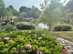 -铁山坪森林公园