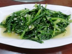-星月美食城
