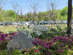 -羊亭河湿地公园