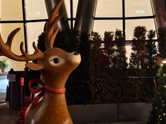 -深圳湾万象城(南山店)