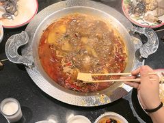 -成老灶火锅鸡(平山店)