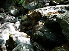 -白云源风景区