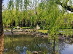 -苏州河梦清园环保主题公园