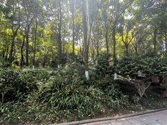 -重庆彩云湖湿地公园