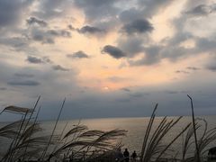 -枸杞岛