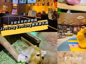 魔都探店｜王校长开的动物园你有去过吗！