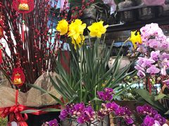 -双季花艺园艺市场(浦东店)