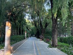 -长春市南湖公园