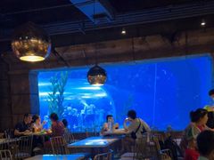 -哈尔滨波塞冬海底世界
