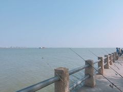 -大湾区中央湿地公园-十九涌