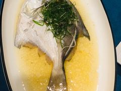 鲳鱼-麟1929(外滩店)