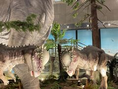 -湖南省地质博物馆