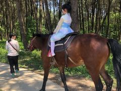 -铁山坪森林公园