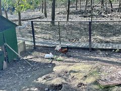 -合肥滨湖国家森林公园