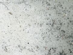 -北海金海湾红树林生态旅游区