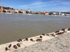 -多瑙河畔鞋履雕塑