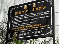 -苏州上方山国家森林公园