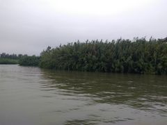 -泗洪洪泽湖湿地景区