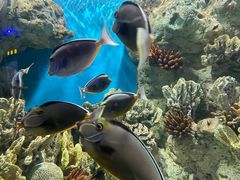 -福州罗源湾海洋世界旅游区