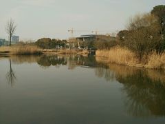 -新江湾城公园