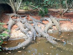 -海南热带野生动植物园