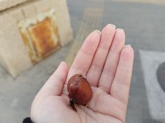 -秋栗香(地安门店)
