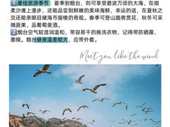 -养马岛旅游度假区