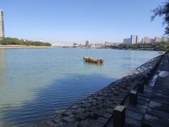 -五缘湾湿地公园