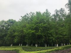-金海湾滨江公园