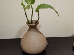 -沐善人家中医·推拿·理疗·三伏灸(新洲店)