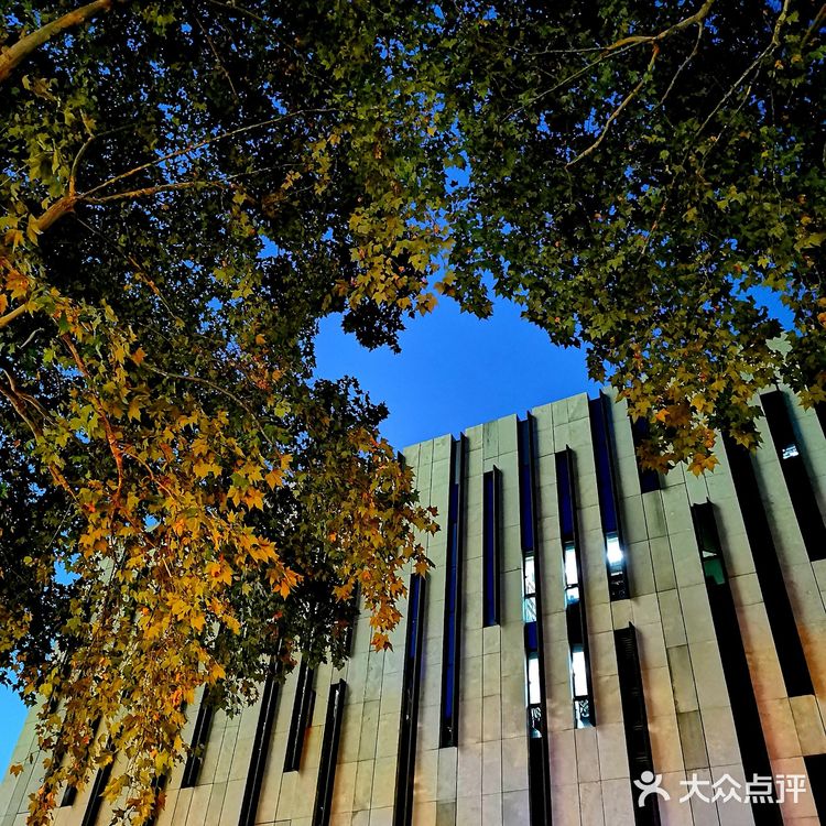 金陵漫游||美术馆.幽蓝的夜