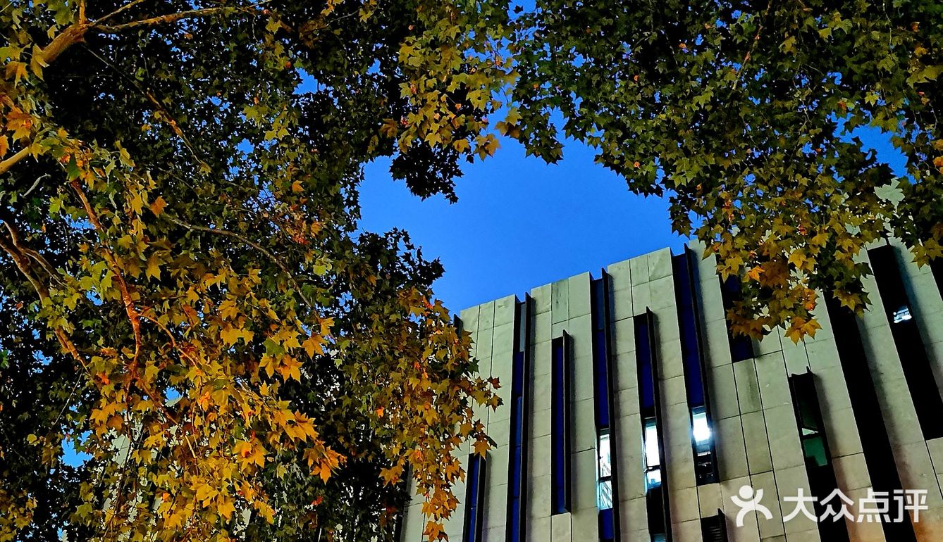 金陵漫游||美术馆.幽蓝的夜